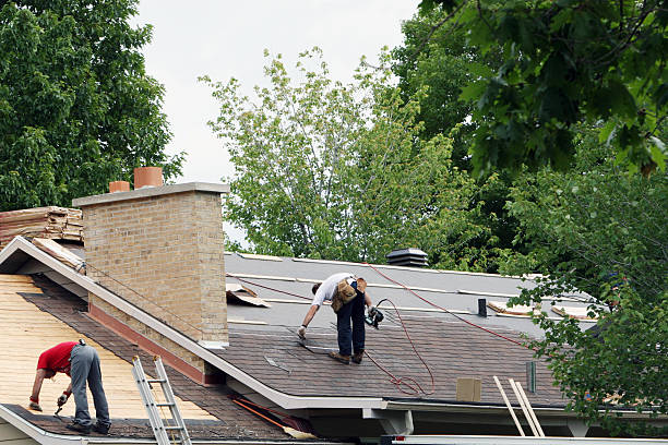 Best Storm Damage Roof Repair  in Harleigh, PA